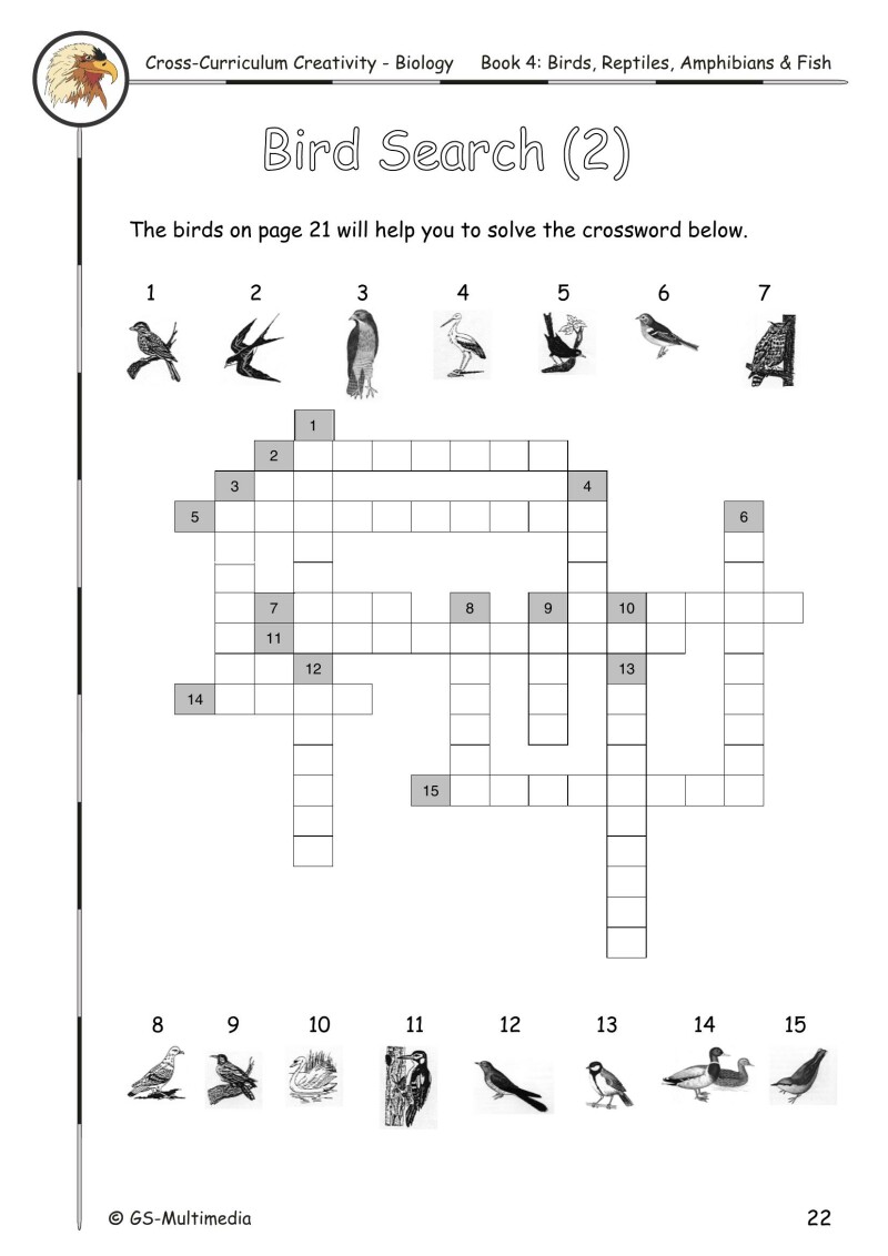 Cross Curriculum Creativity – Biology – Book 4: Birds, Reptiles, Amphibians and Fish