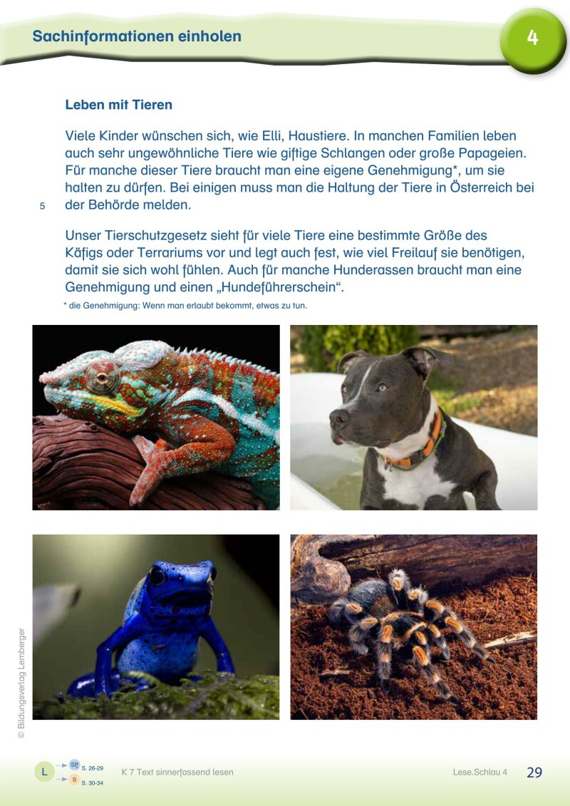 Schlau4_Lese.Schlau 4 – Lesebuch_LP’23 v1.1_LP’23 v1.1