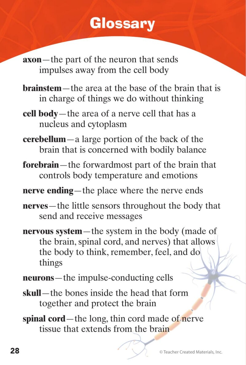 A1 – Look Inside: Your Brain