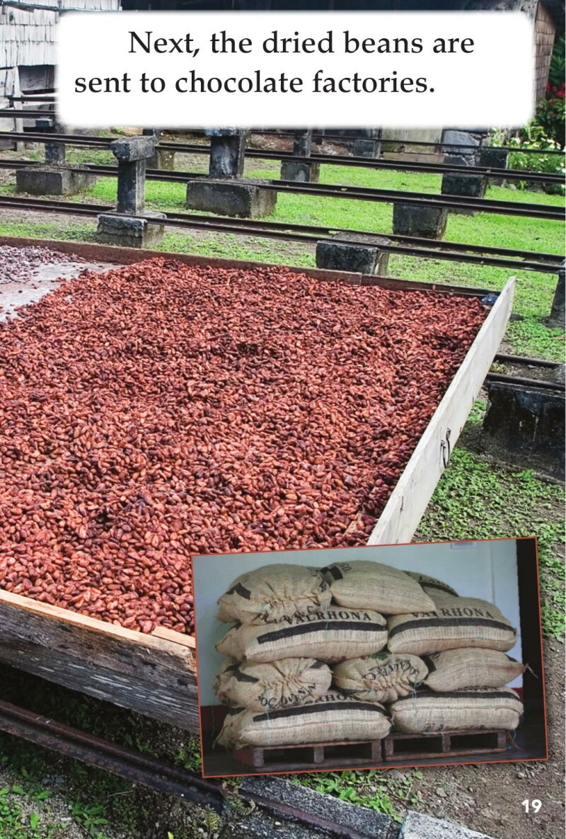 A1 – Make It: Chocolate