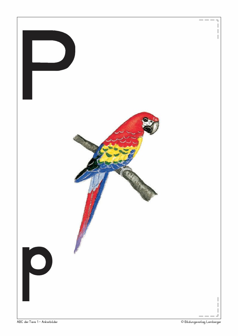 ABC der Tiere 1 - Schulbuch: Ankerbilder der Buchstaben