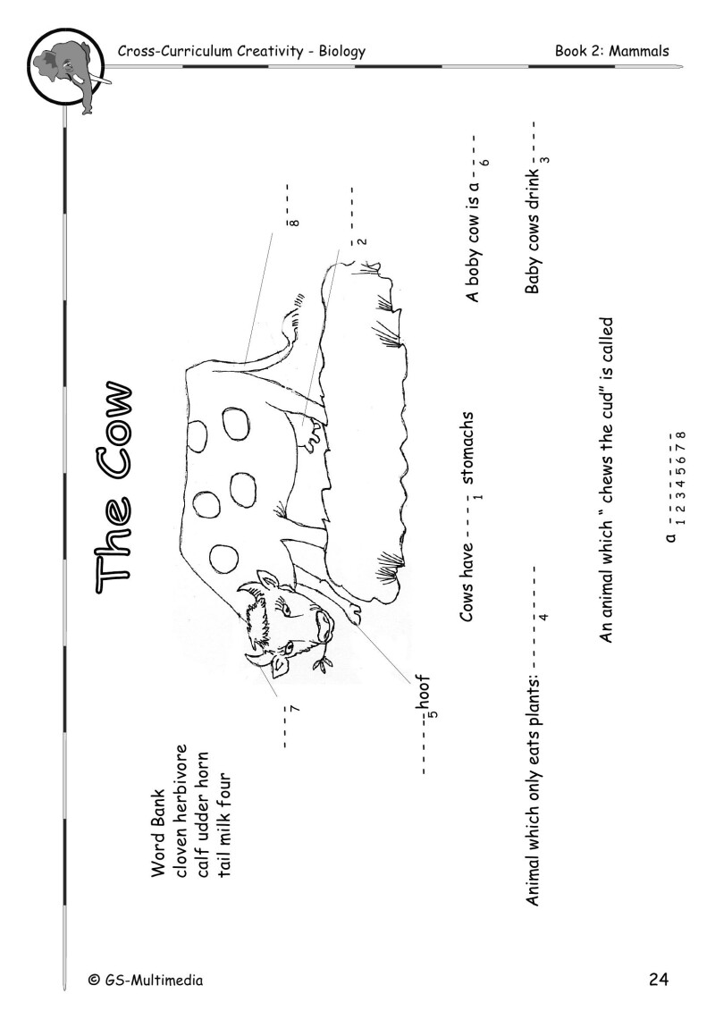 Cross Curriculum Creativity – Biology – Book 2: Mammals