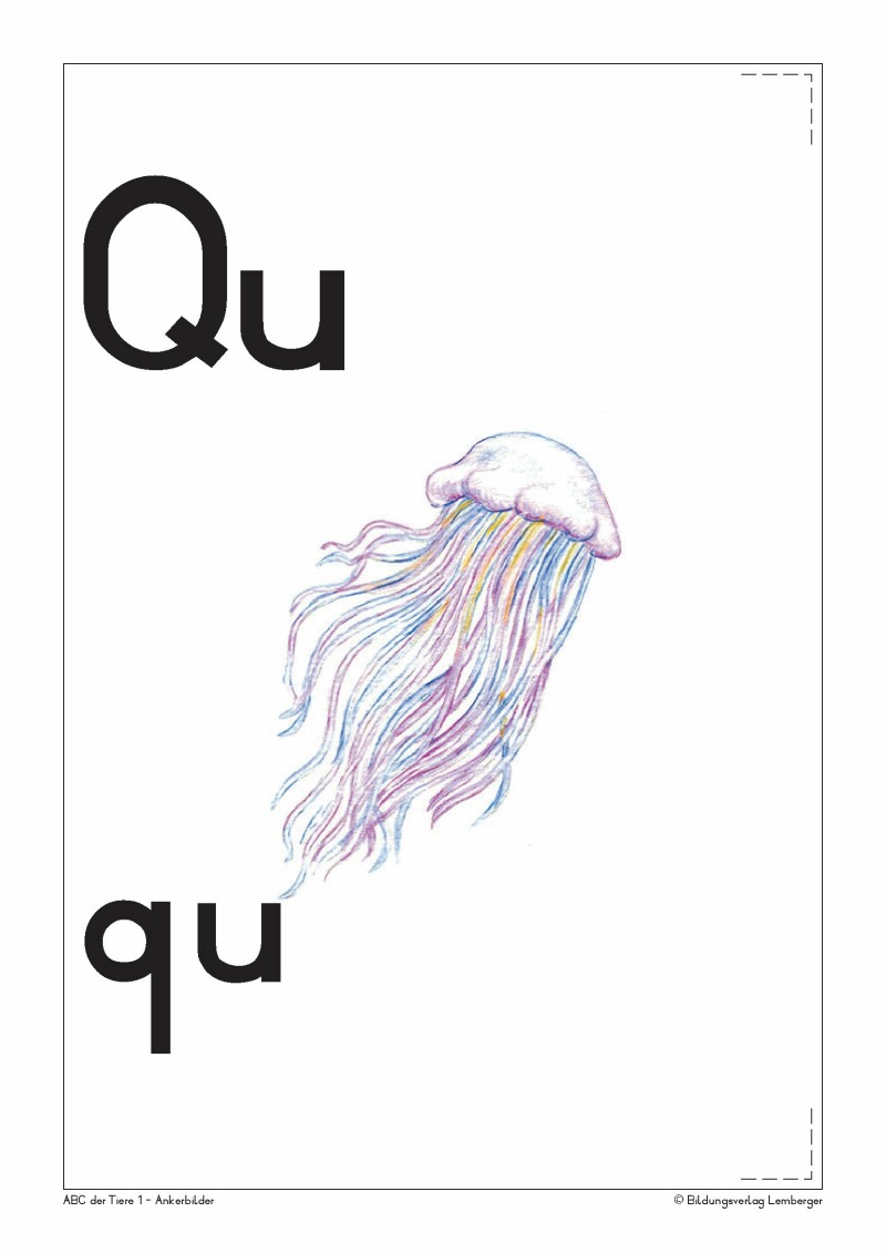 ABC der Tiere 1 - Schulbuch: Ankerbilder der Buchstaben