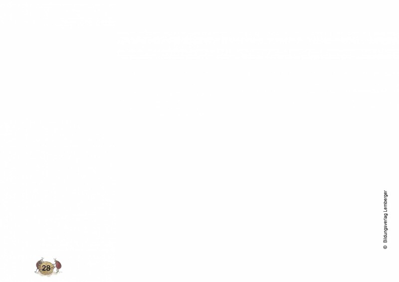 Drago im Zauberwald – Bilderbuch mit Fördermaterial: Die Zaubernuss