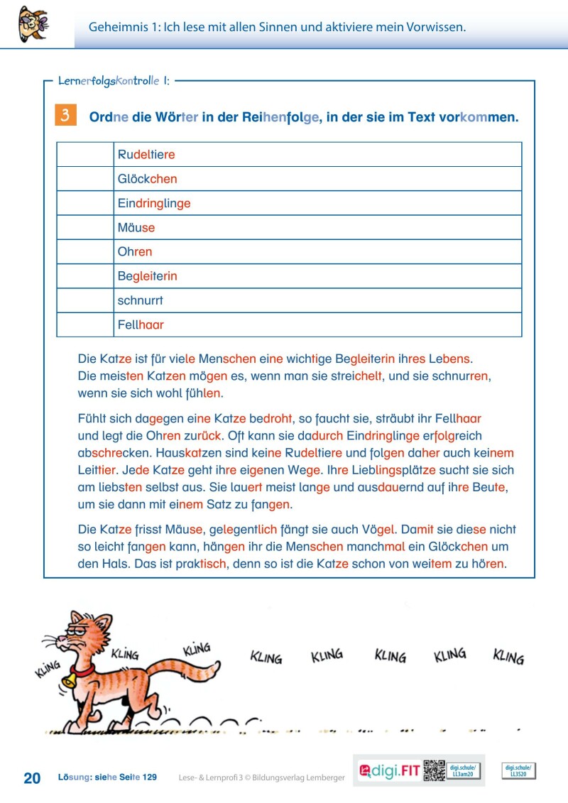 Lese- und Lernprofi 3 LP’23 v1.1 / Schulbuch – silbierte Ausgabe