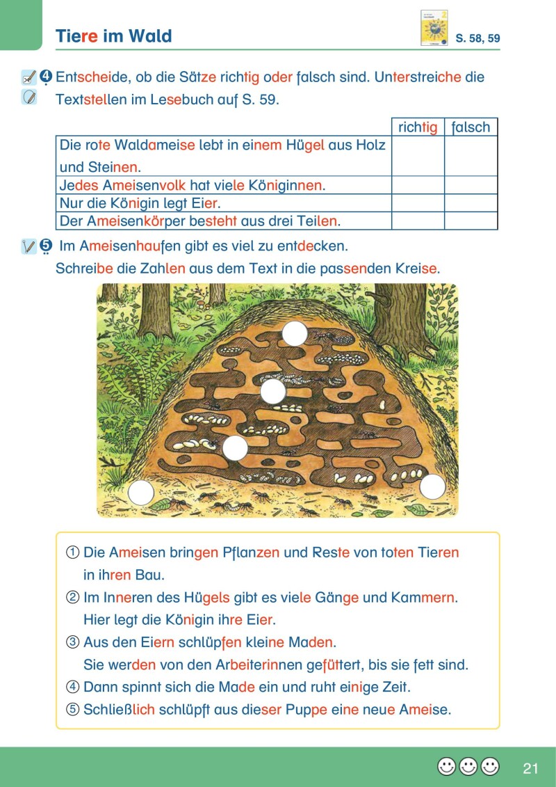 ABC der Tiere 2 – Schulbuch: Lesebuch mit Silbenschrift_Arbeitsheft_LP’23 v1.1