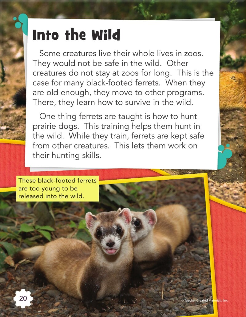 A2 – Creating a Habitat