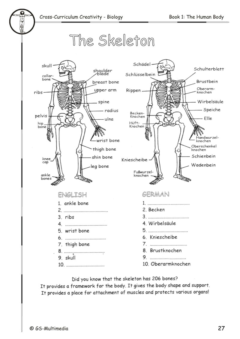 Cross Curriculum Creativity – Biology – Book 1: The Human Body