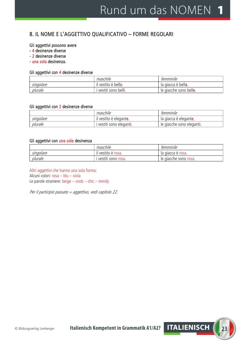 Italienisch Kompetent in Grammatik? Übungsbuch
