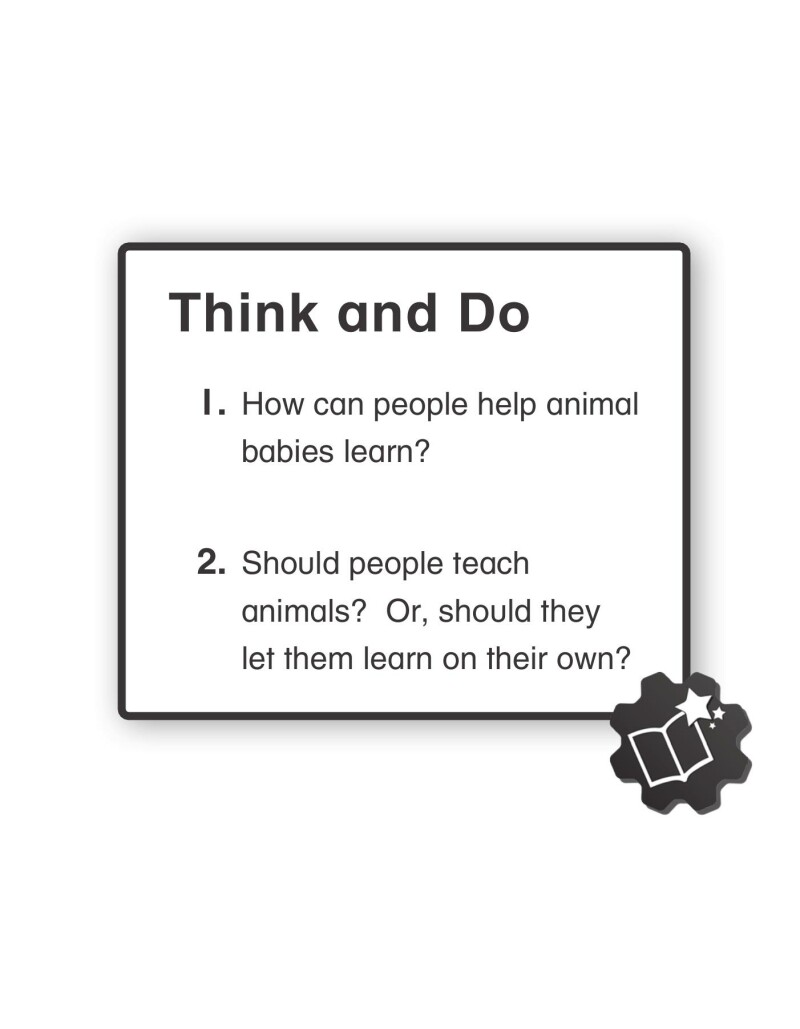 A1 – Helping Animals Learn
