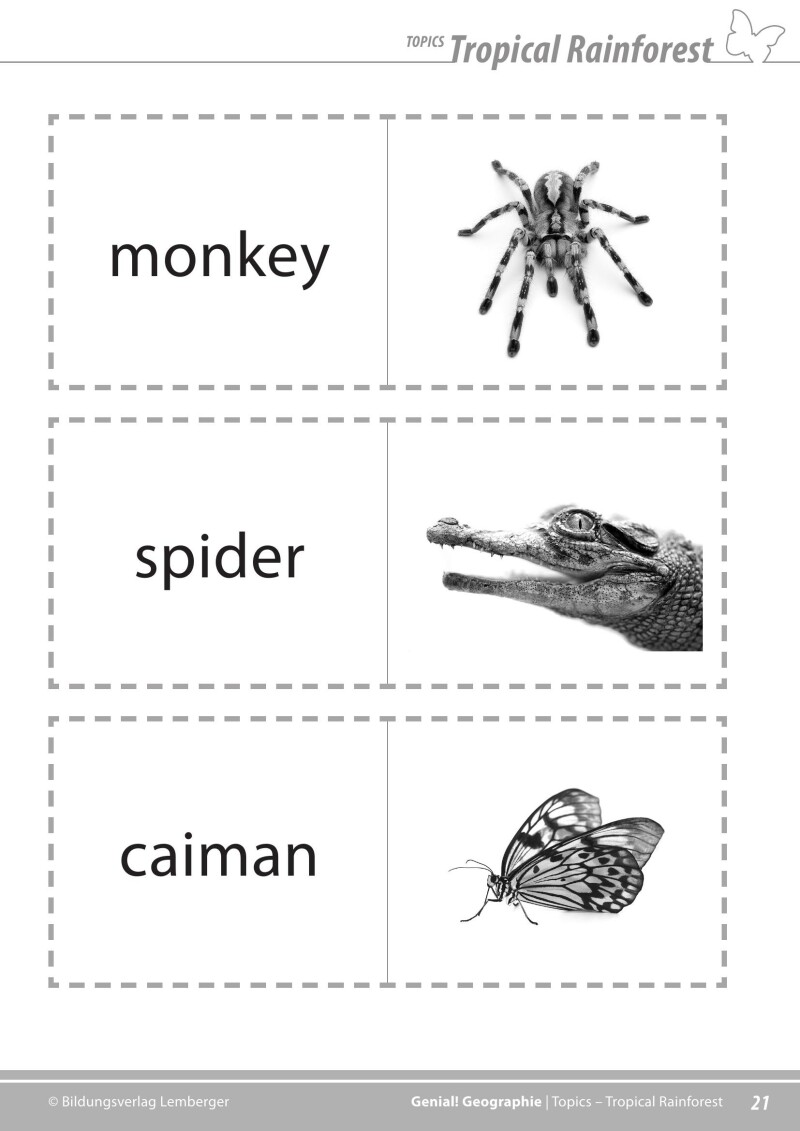 Genial! GW 1 – topics 1: Rainforest