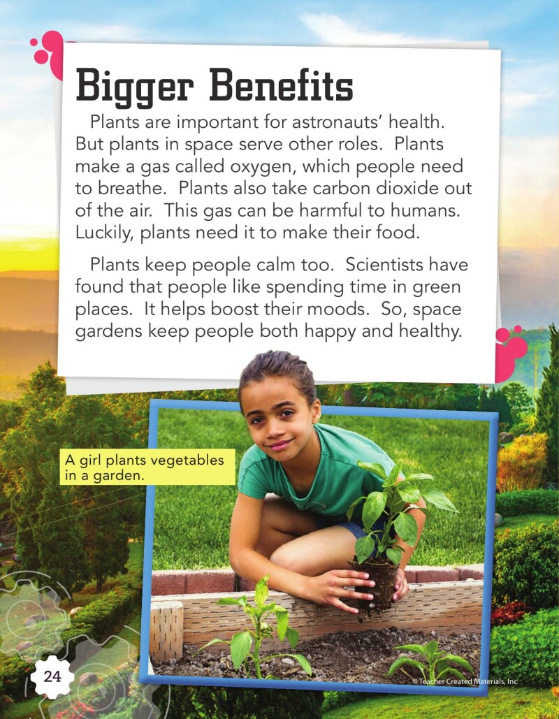 A2 – Growing Plants in Space