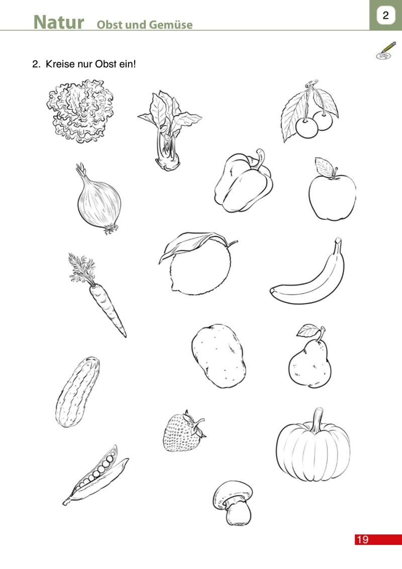 Dem Leben auf der Spur 1 LP’23 v1.1 / Arbeitsheft