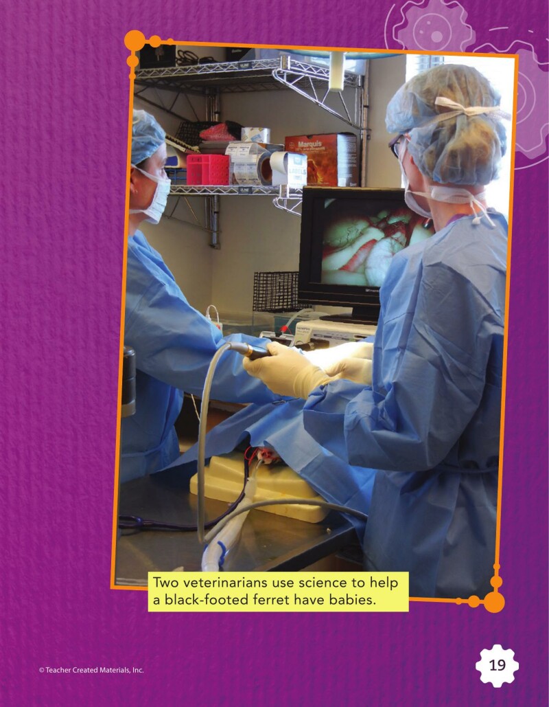 A2 – Creating a Habitat