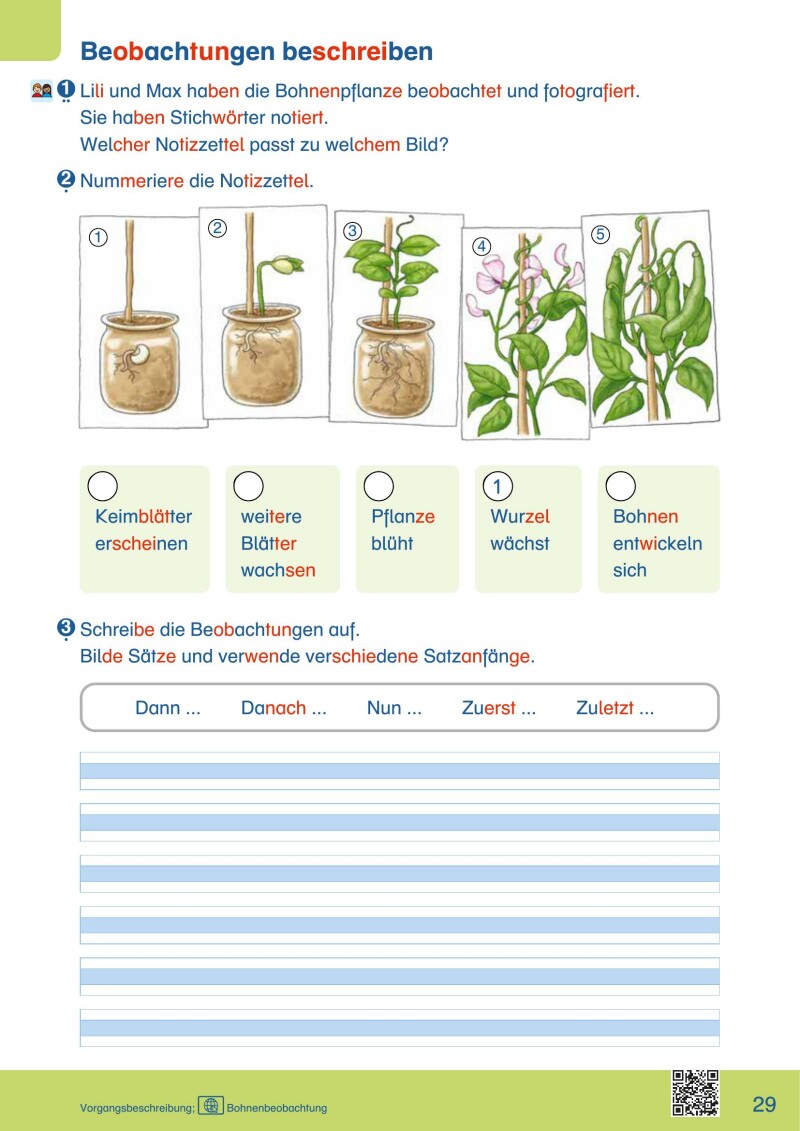ABC der Tiere 2 – Schulbuch: Spracharbeitsheft B (2. Semester) / Originalausgabe Mildenberger