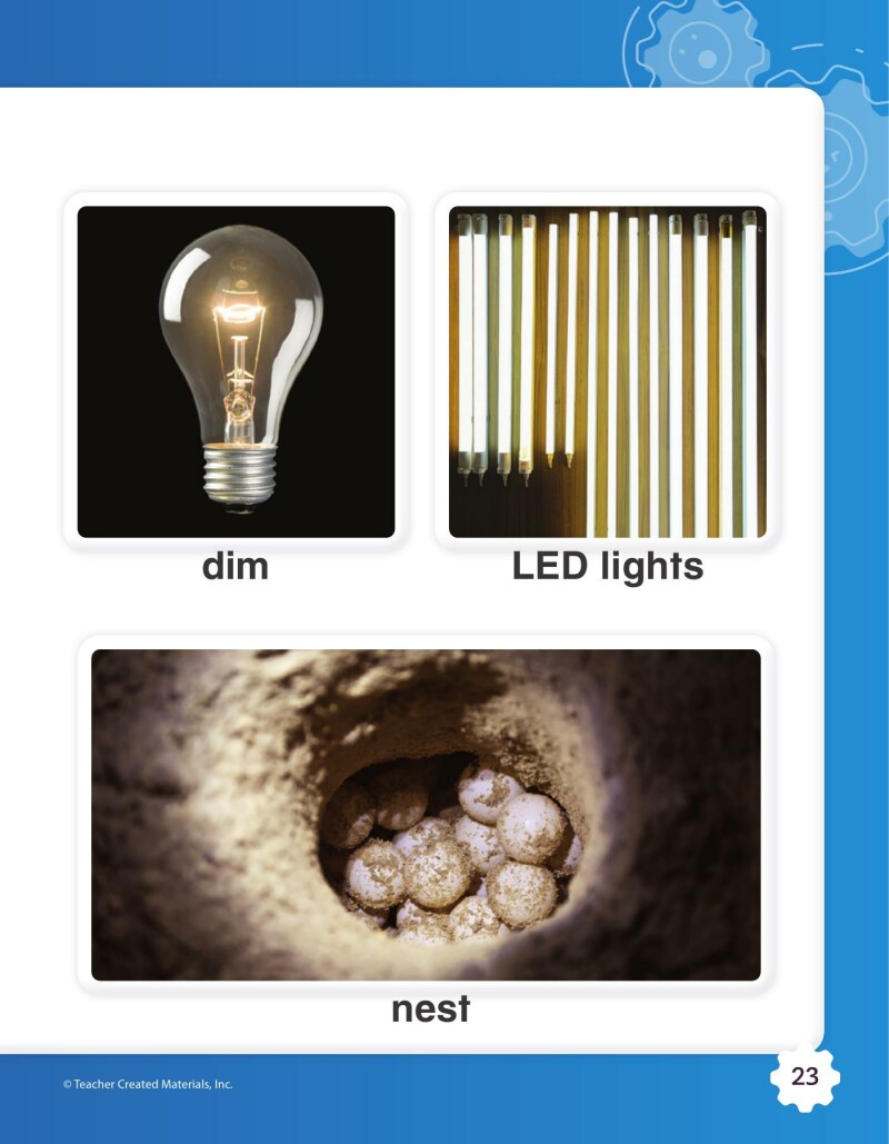 A1 – Seeing More Stars