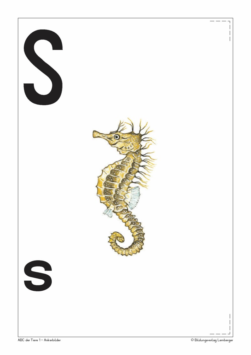 ABC der Tiere 1 - Schulbuch: Ankerbilder der Buchstaben