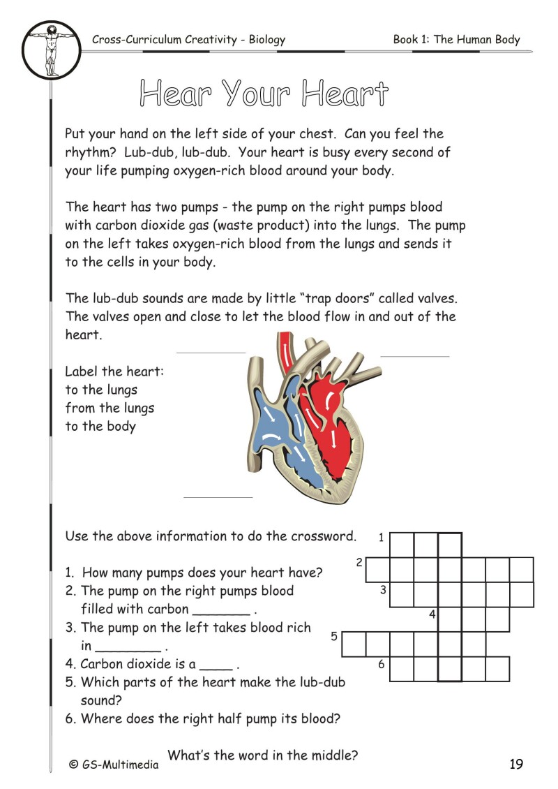 Cross Curriculum Creativity – Biology – Book 1: The Human Body