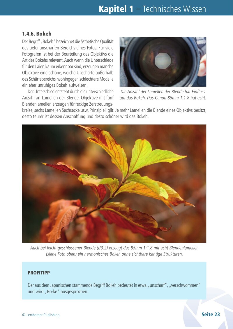 Digitale Fotografie für Fortgeschrittene