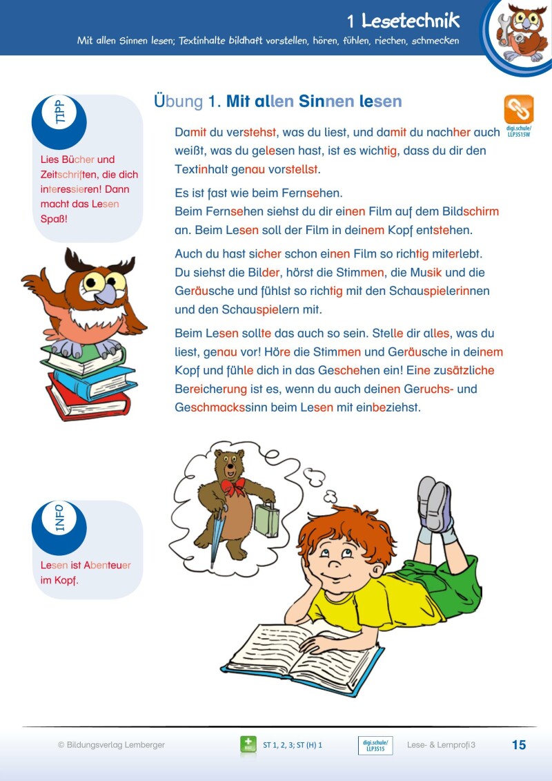 Lese- und Lernprofi 3 - Schulbuch NEU: Silbierte Ausgabe