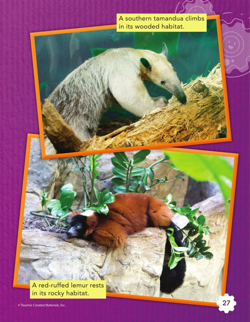 A2 – Creating a Habitat