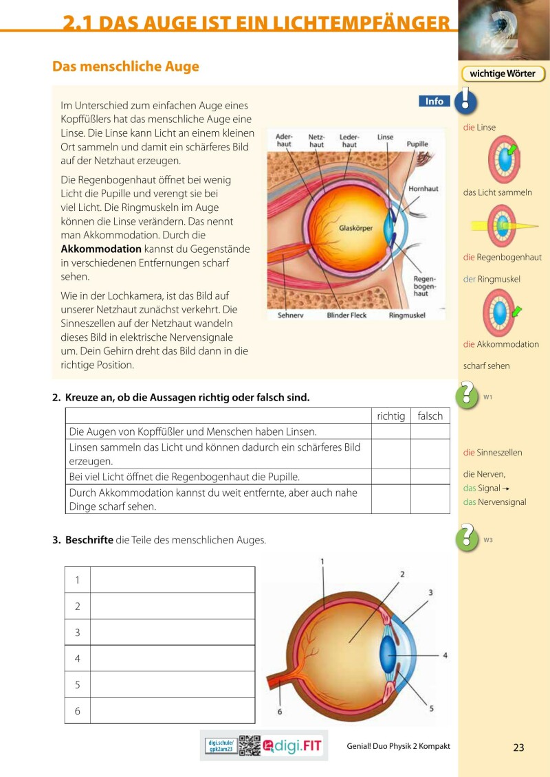 Genial! DUO Physik 2 – KOMPAKT LP 23 v1.1 / Schulbuch