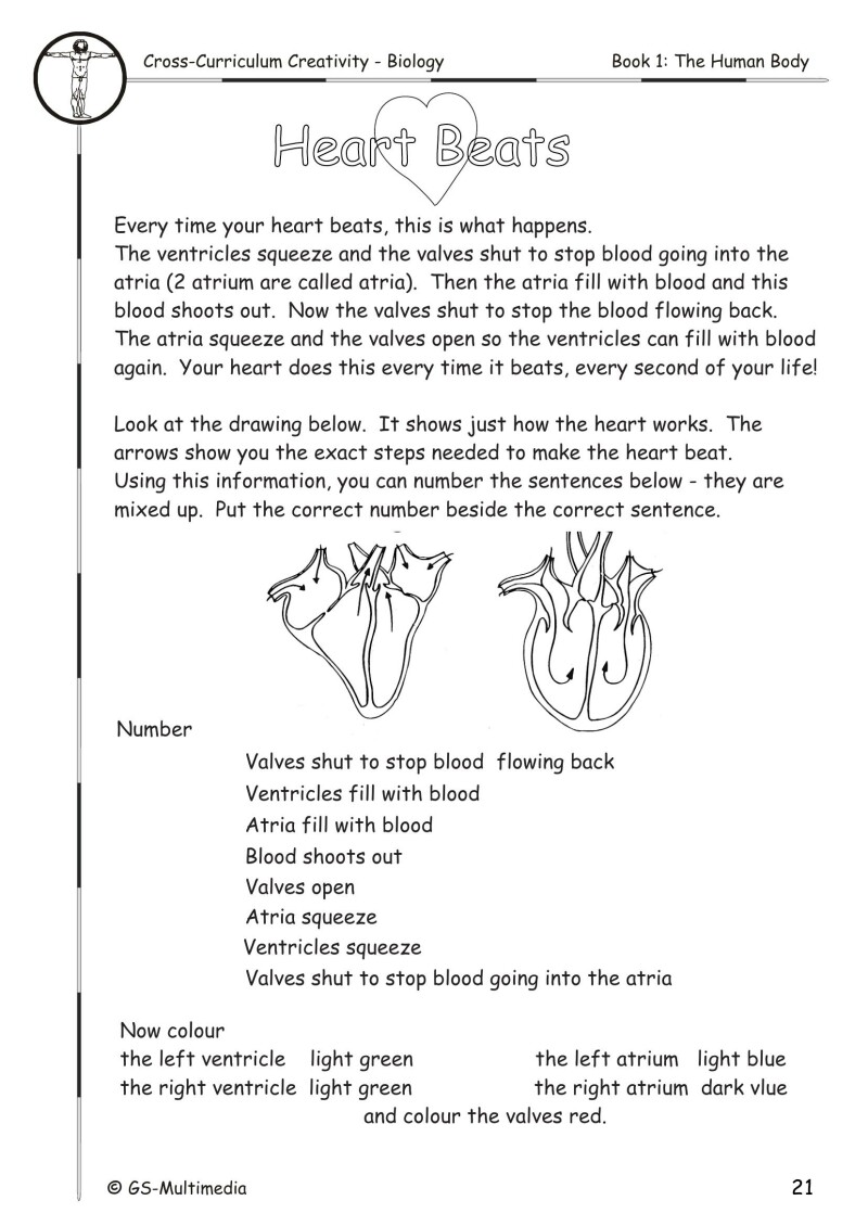 Cross Curriculum Creativity – Biology – Book 1: The Human Body