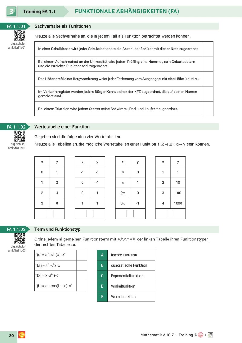 Grundkompetenzen Training Mathematik 11. Schulstufe mit Lösungsteil