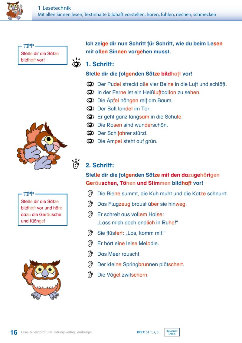 Lese- und Lernprofi 3 - Schulbuch: Silbierte Ausgabe_Version 3.1