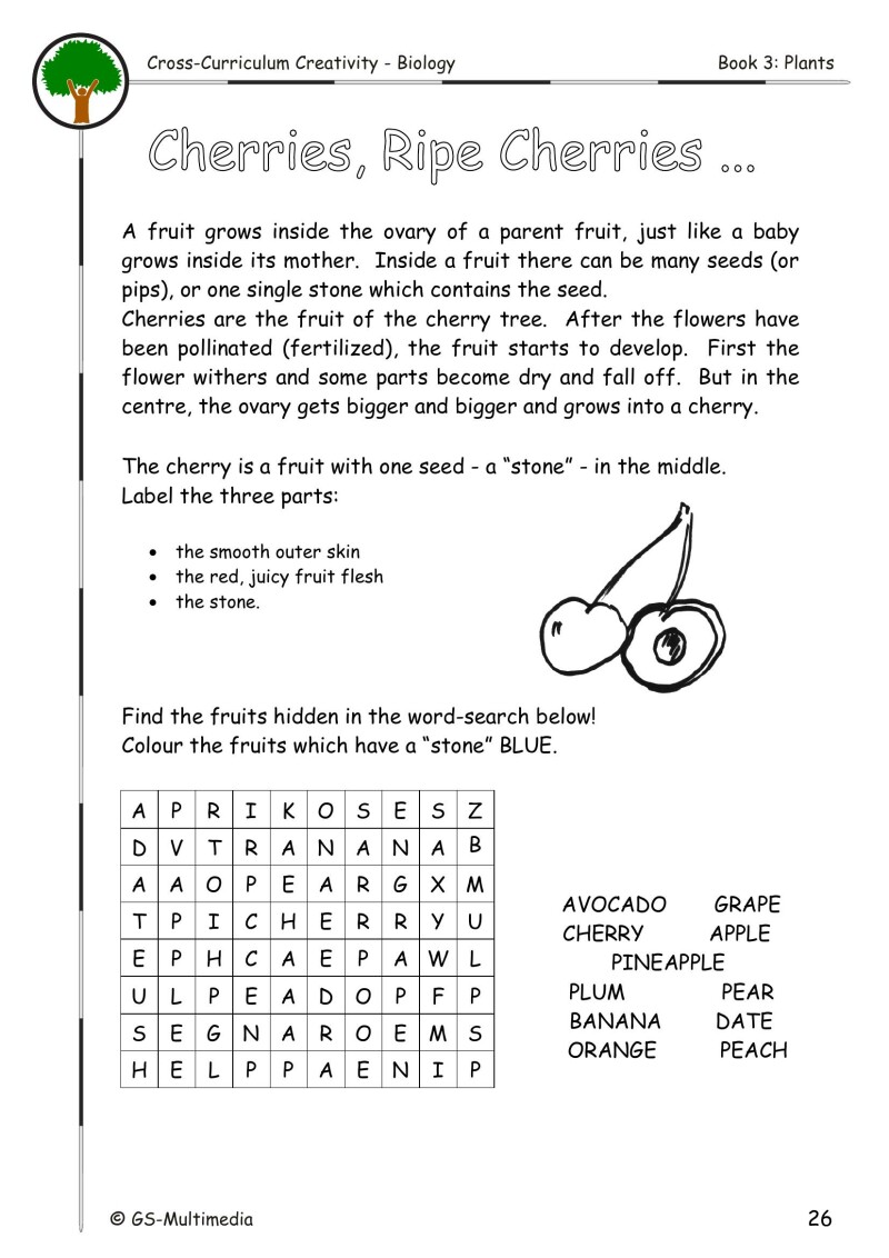 Cross Curriculum Creativity – Biology – Book 3: Plants