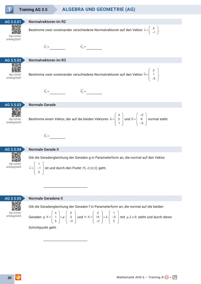 Grundkompetenzen Training Mathematik 10. Schulstufe mit Lösungsteil