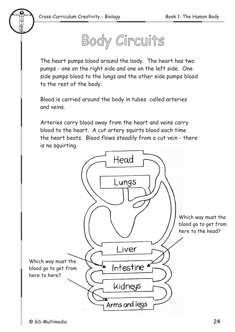 Cross Curriculum Creativity – Biology – Book 1: The Human Body