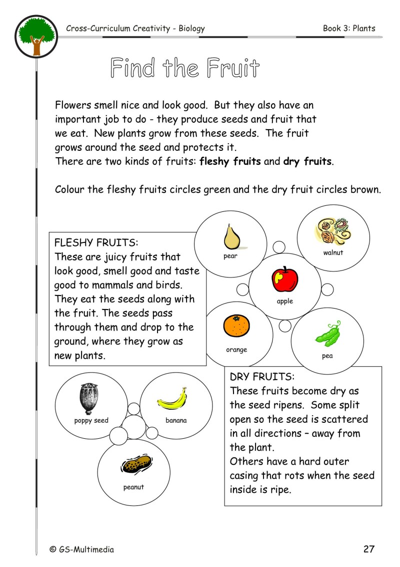 Cross Curriculum Creativity – Biology – Book 3: Plants