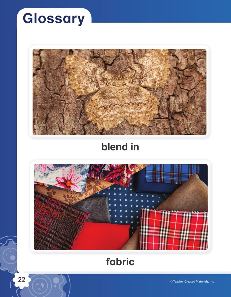 A1 – Being Like Butterflies