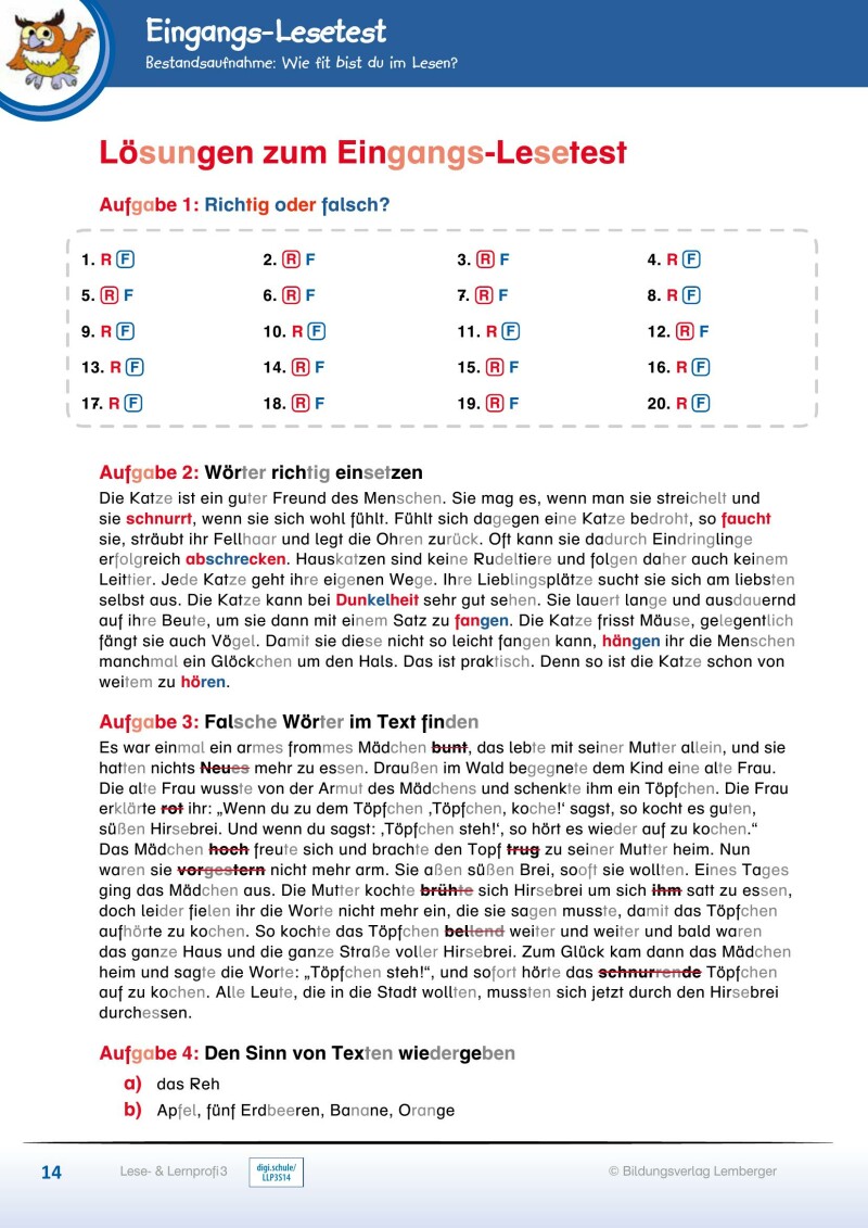 Lese- und Lernprofi 3 - Schulbuch NEU: Silbierte Ausgabe