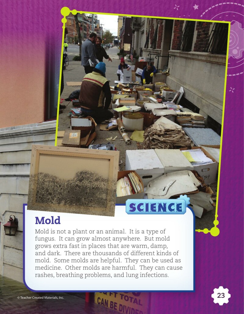 A2 – Saving Culture from Disaster