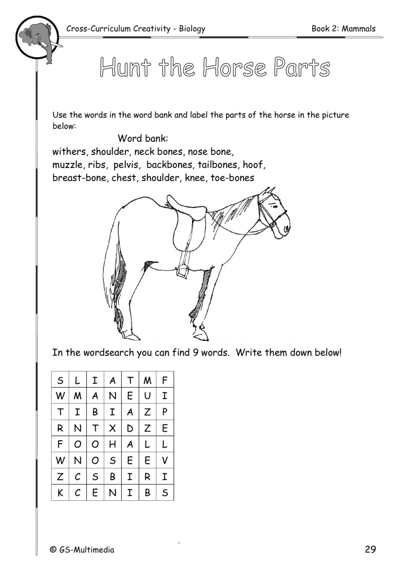 Cross Curriculum Creativity – Biology – Book 2: Mammals