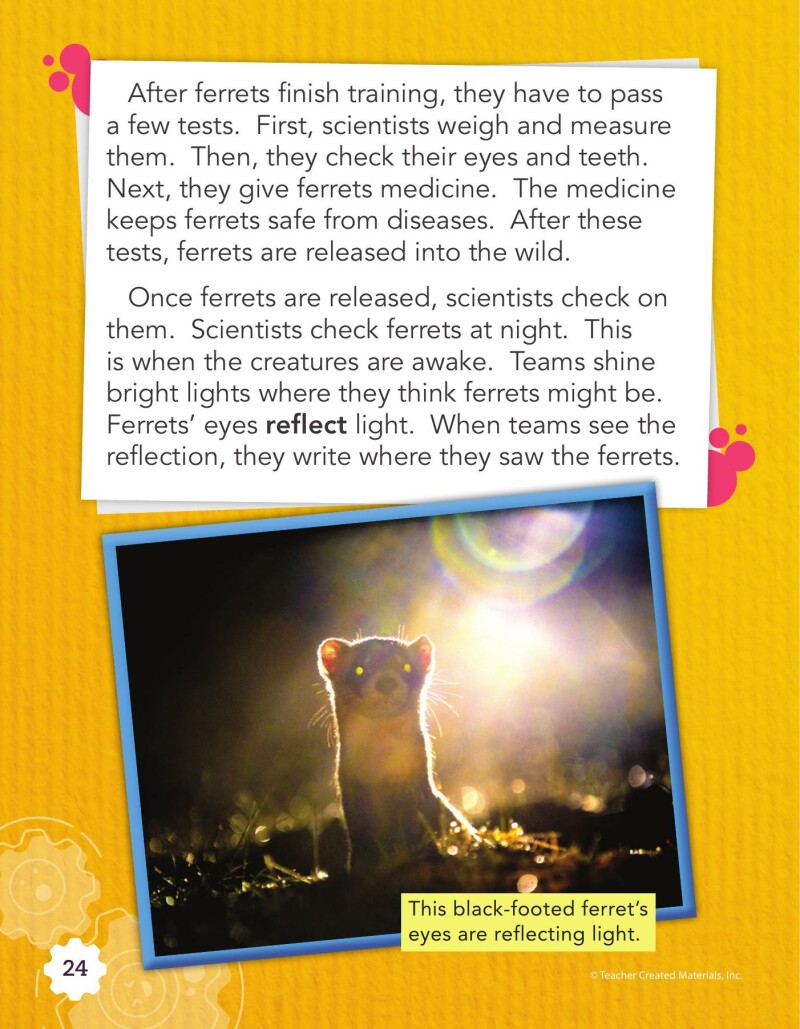 A2 – Creating a Habitat