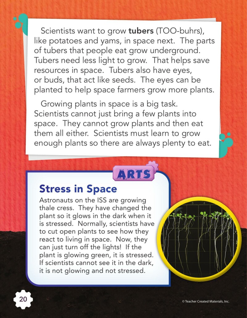 A2 – Growing Plants in Space