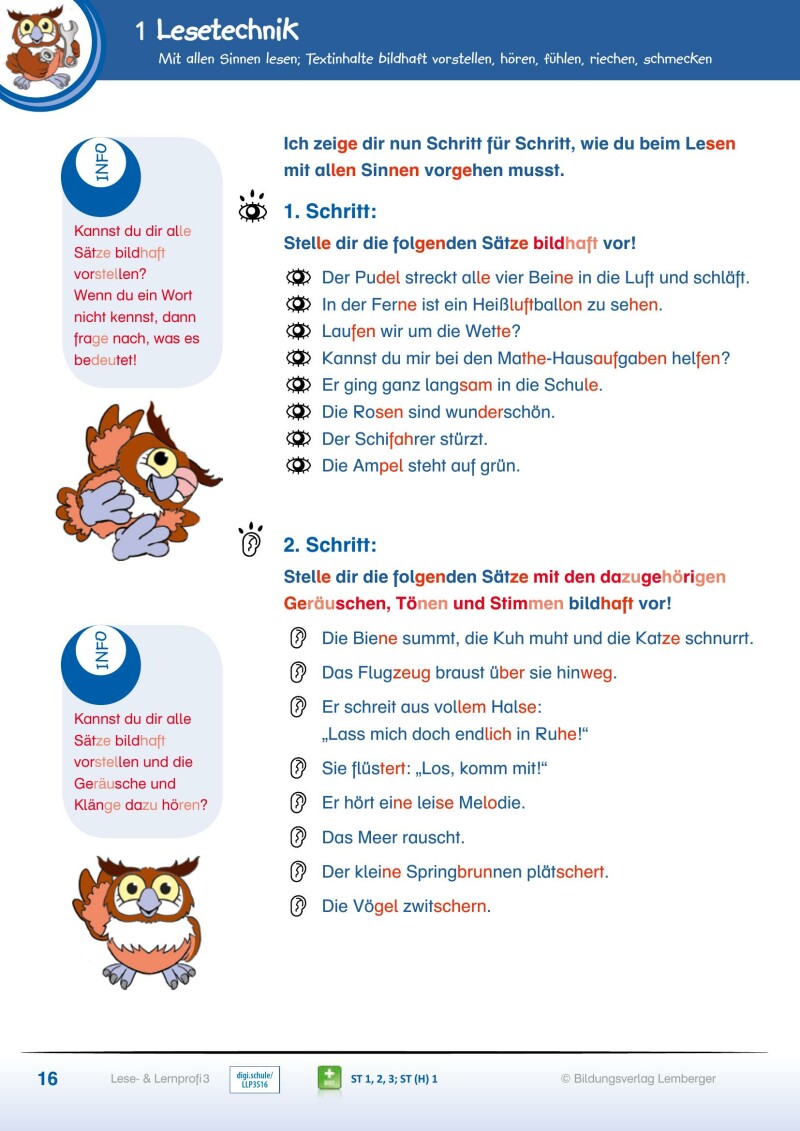 Lese- und Lernprofi 3 - Schulbuch NEU: Silbierte Ausgabe