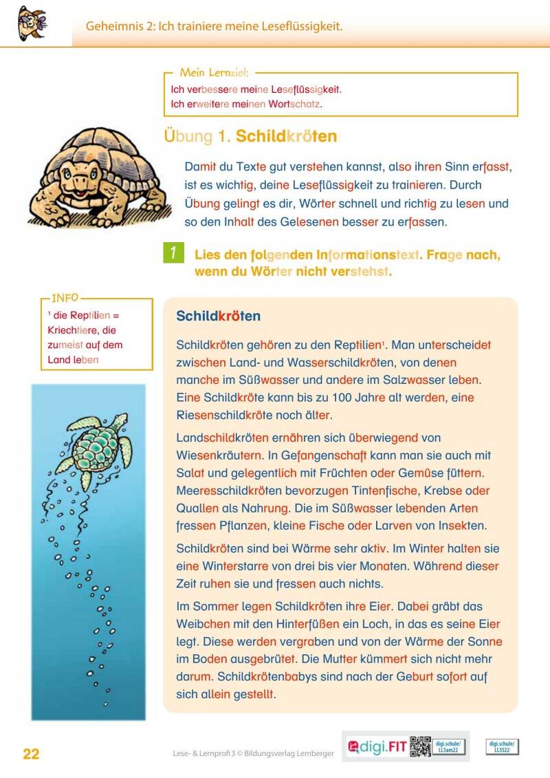 Lese- und Lernprofi 3 LP’23 v1.1 / Schulbuch – silbierte Ausgabe