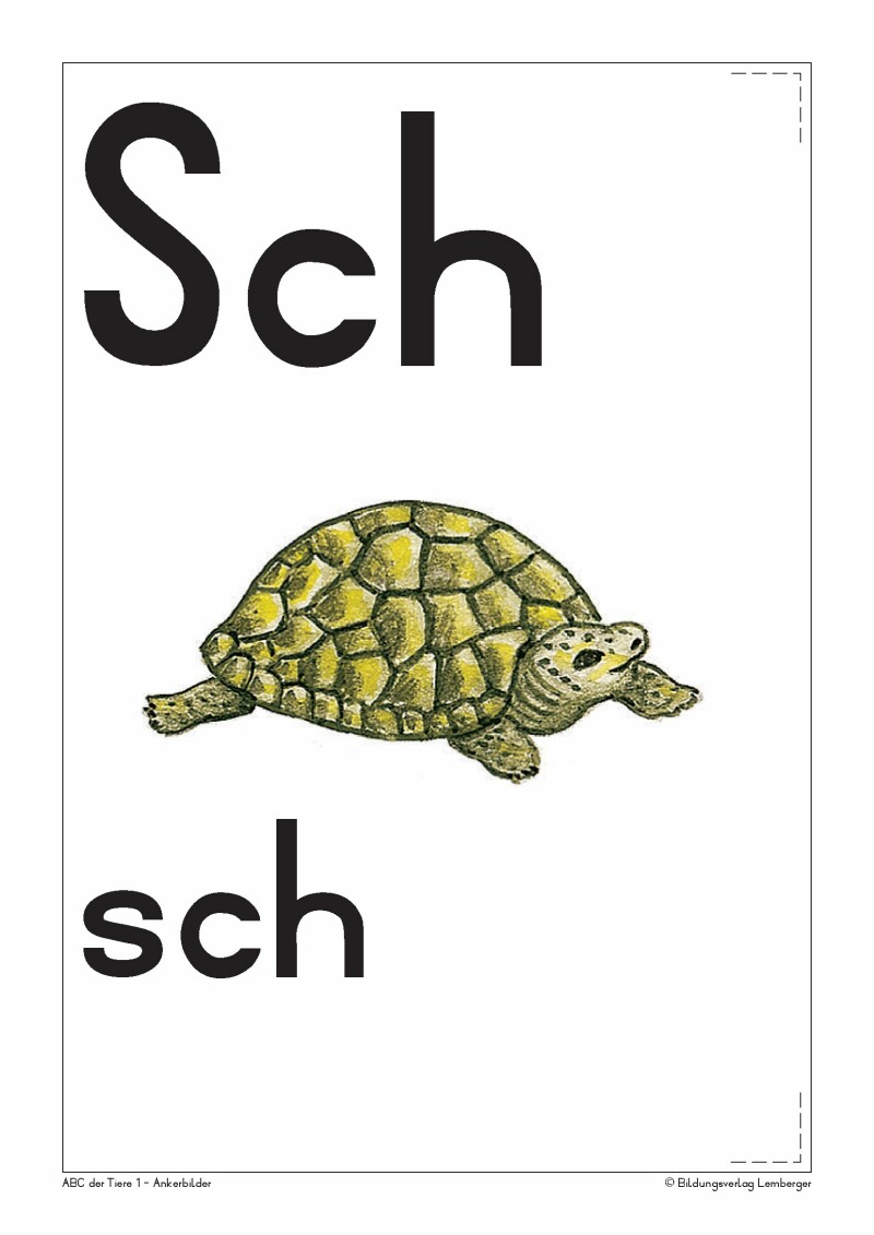 ABC der Tiere 1 - Schulbuch: Ankerbilder der Buchstaben