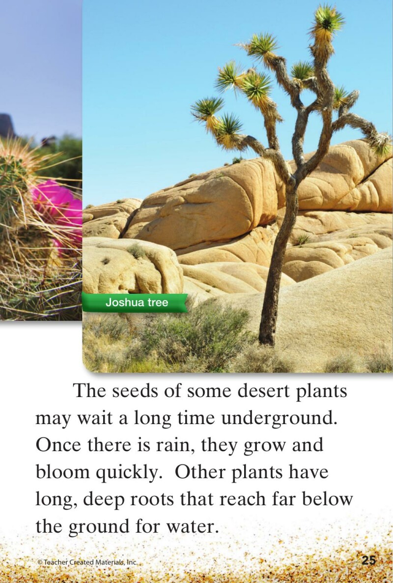 A1 – Step into the Desert