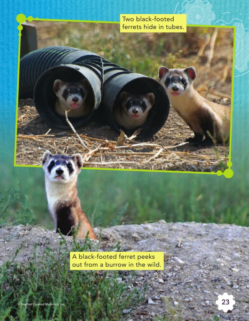 A2 – Creating a Habitat