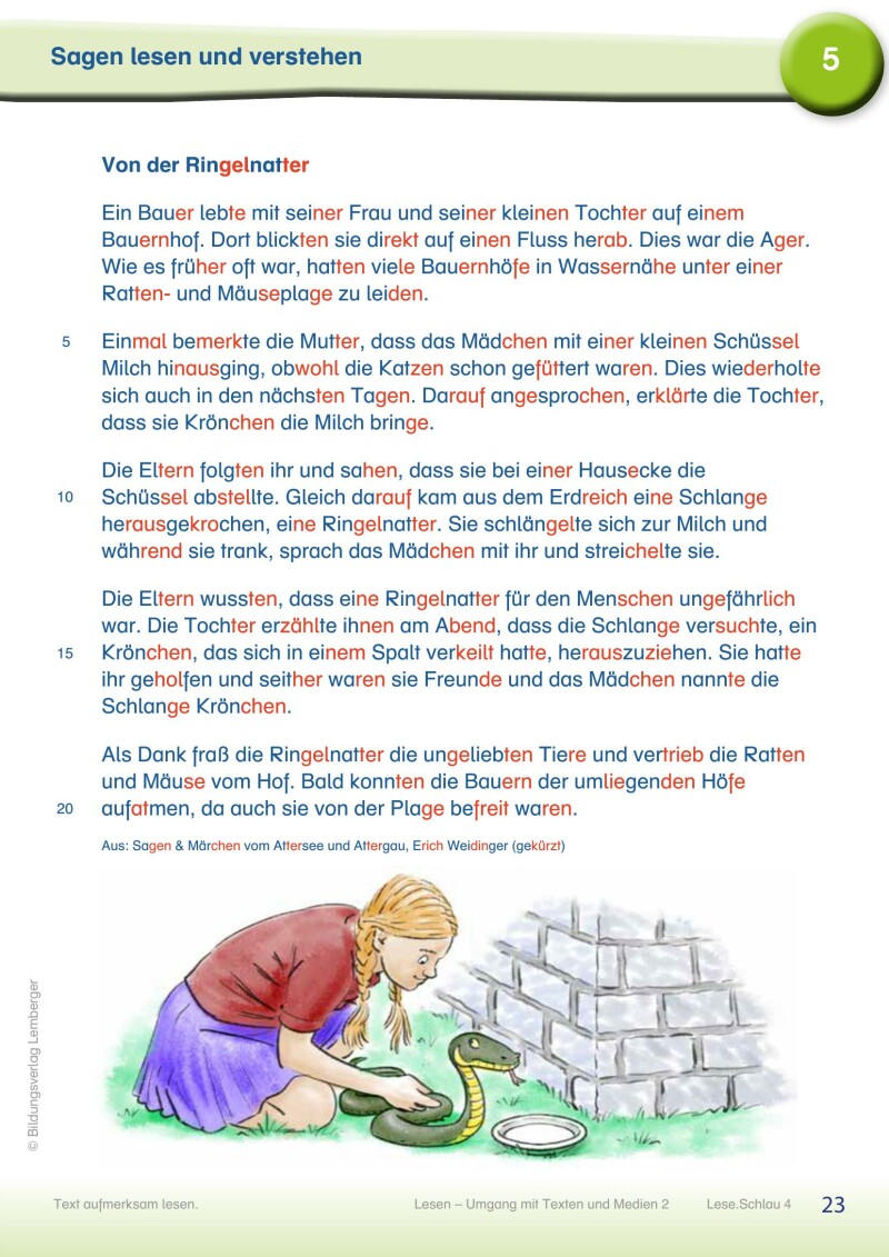 Lese.Schlau 4 - Lesebuch mit Silbenschrift