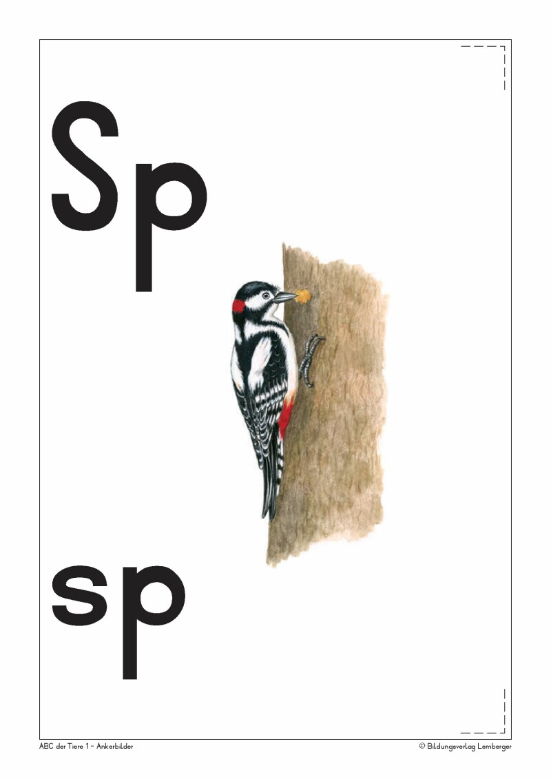 ABC der Tiere 1 - Schulbuch: Ankerbilder der Buchstaben