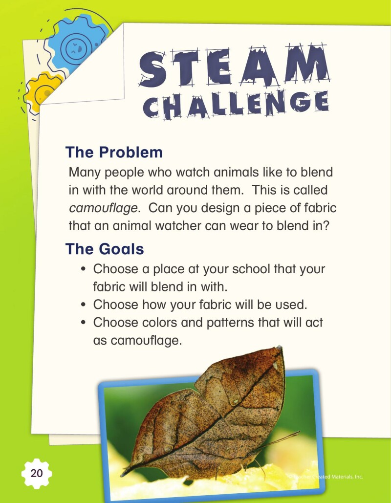 A1 – Being Like Butterflies