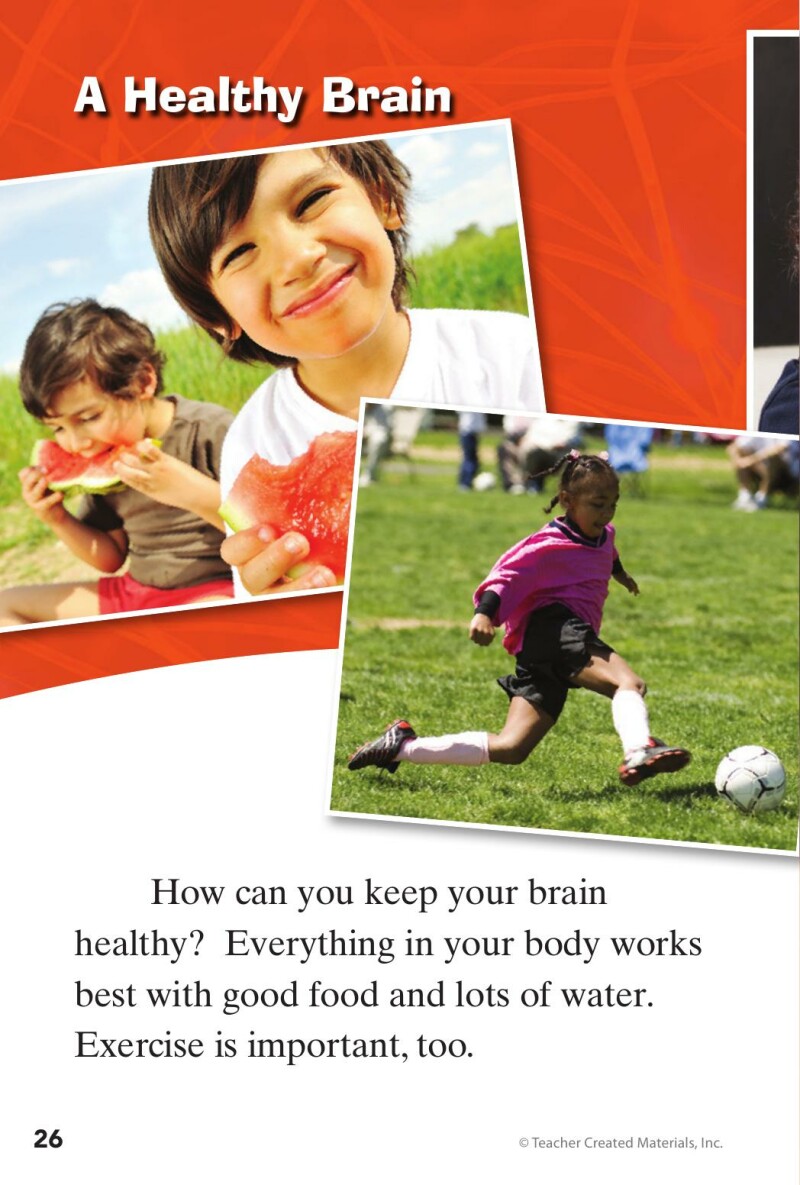 A1 – Look Inside: Your Brain