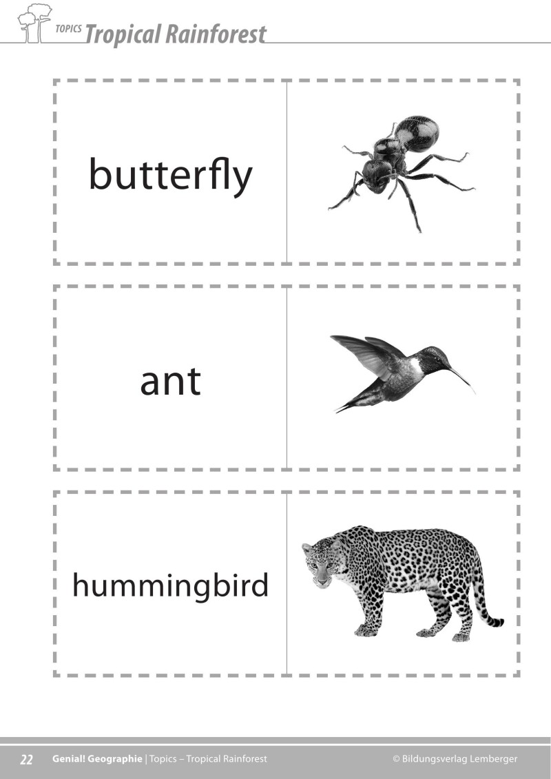 Genial! GW 1 – topics 1: Rainforest