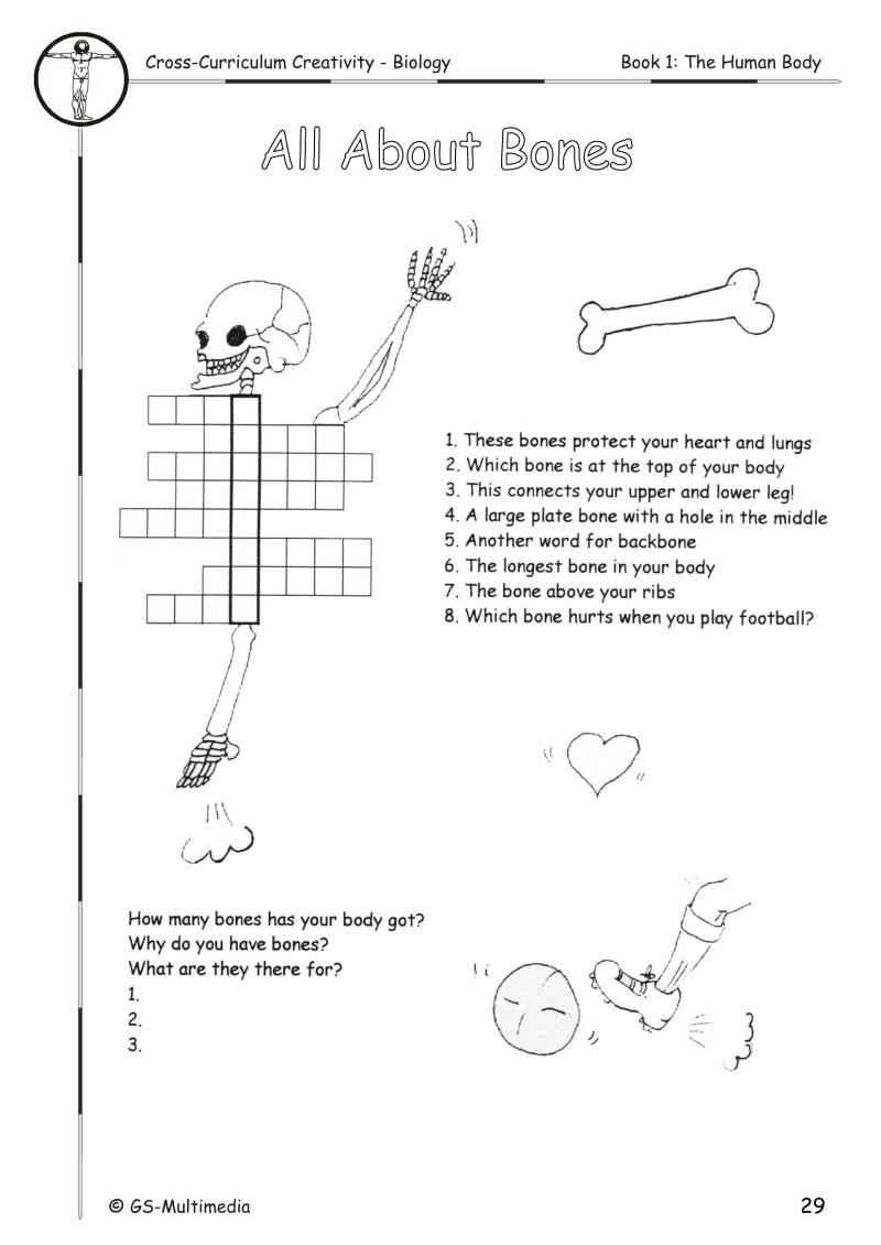 Cross Curriculum Creativity – Biology – Book 1: The Human Body